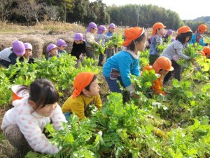 画像(300x225)・拡大画像(640x480)