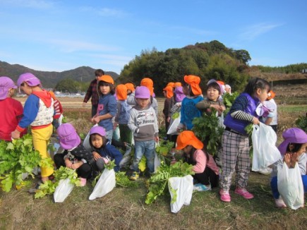 画像(435x326)・拡大画像(640x480)