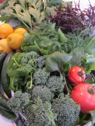 画像(326x435)・拡大画像(480x640)