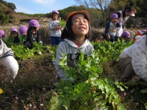 画像(300x225)・拡大画像(640x480)