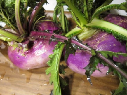 �摜(435x326)�E�g��摜(640x480)