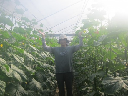 �摜(435x326)�E�g��摜(640x480)