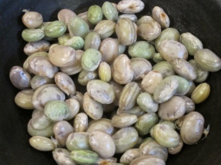 �摜(435x326)�E�g��摜(640x480)