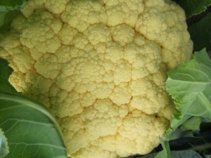 �摜(300x225)�E�g��摜(640x480)