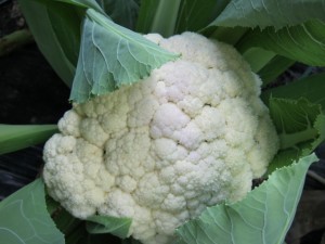 �摜(300x225)�E�g��摜(640x480)