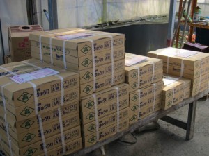 �摜(300x225)�E�g��摜(640x480)