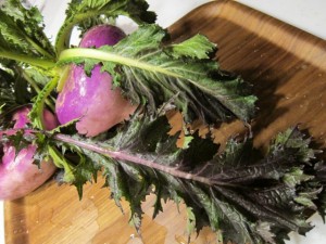 �摜(300x225)�E�g��摜(640x480)