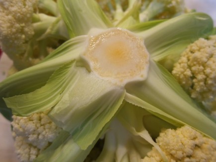 �摜(435x326)�E�g��摜(640x480)