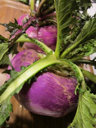 �摜(326x435)�E�g��摜(480x640)