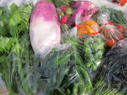 �摜(435x326)�E�g��摜(640x480)