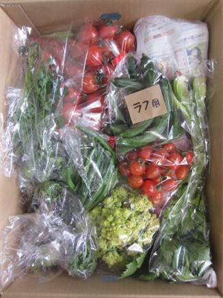 画像(326x435)・拡大画像(403x537)