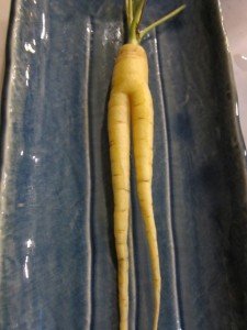 画像(225x300)・拡大画像(480x640)