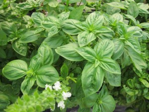 �摜(300x225)�E�g��摜(640x480)