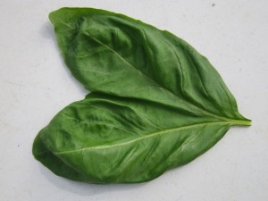 画像(300x225)・拡大画像(640x480)