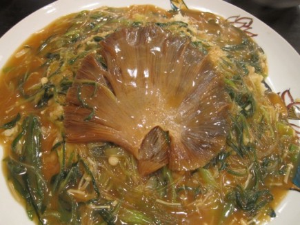 �摜(435x326)�E�g��摜(640x480)