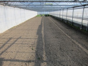 �摜(300x225)�E�g��摜(640x480)