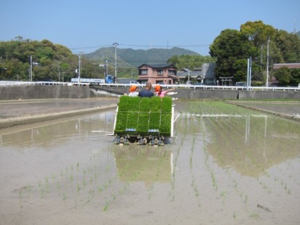 画像(435x326)・拡大画像(640x480)