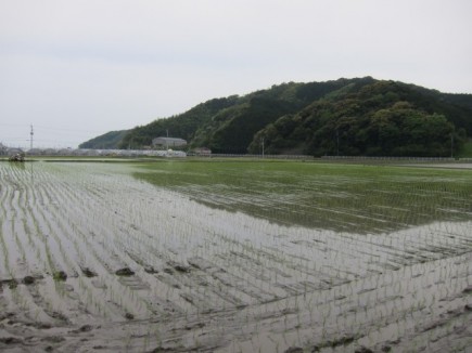 画像(435x326)・拡大画像(640x480)