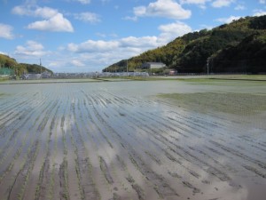 画像(300x225)・拡大画像(640x480)