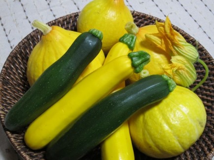 画像(435x326)・拡大画像(640x480)