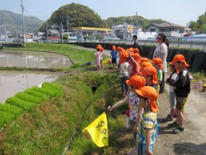 画像(300x225)・拡大画像(640x480)