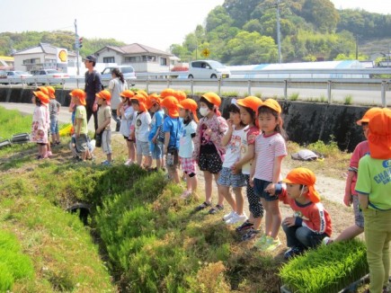 画像(435x326)・拡大画像(640x480)