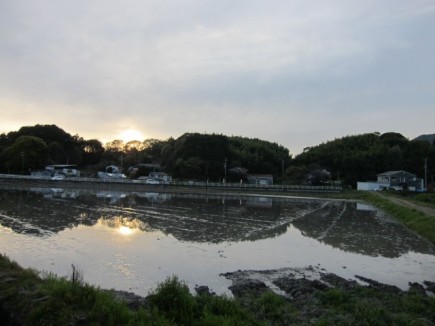 画像(435x326)・拡大画像(640x480)