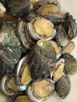 �摜(326x435)�E�g��摜(480x640)