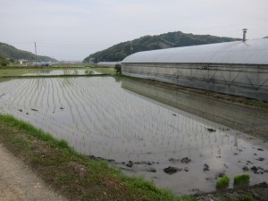 画像(300x225)・拡大画像(640x480)