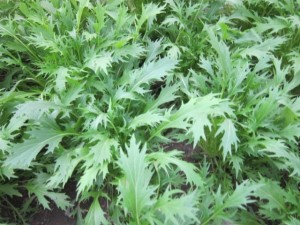 �摜(300x225)�E�g��摜(640x480)