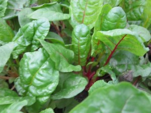 �摜(300x225)�E�g��摜(640x480)