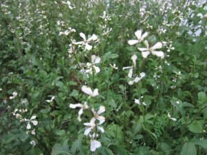 �摜(300x225)�E�g��摜(640x480)