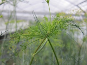 �摜(300x225)�E�g��摜(640x480)