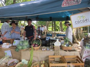 �摜(300x225)�E�g��摜(640x480)