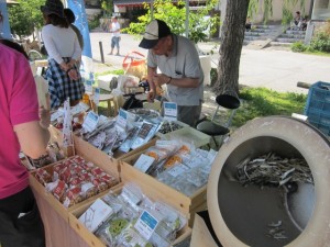 �摜(300x225)�E�g��摜(640x480)