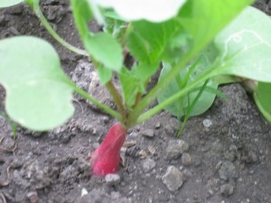 �摜(300x225)�E�g��摜(640x480)