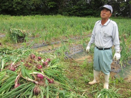 �摜(435x326)�E�g��摜(640x480)