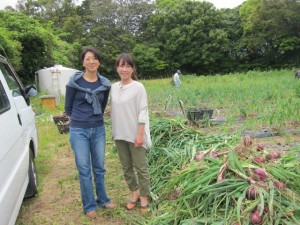 �摜(300x225)�E�g��摜(640x480)