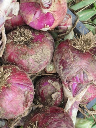 �摜(326x435)�E�g��摜(480x640)