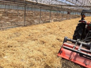 �摜(300x225)�E�g��摜(640x480)