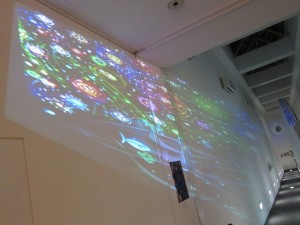 画像(300x225)・拡大画像(640x480)