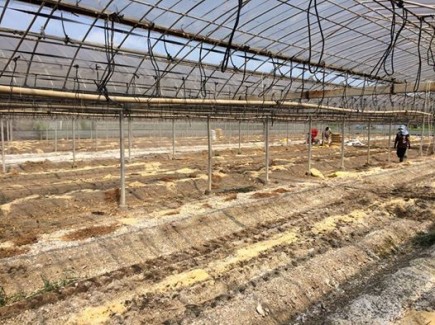 �摜(435x325)�E�g��摜(526x394)