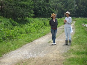 画像(300x225)・拡大画像(640x480)