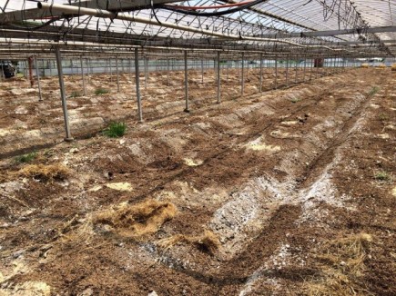 �摜(435x326)�E�g��摜(640x480)