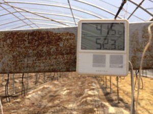 �摜(300x225)�E�g��摜(640x480)