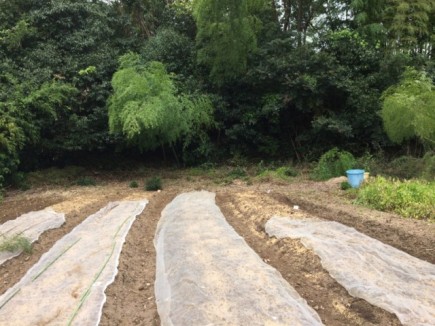 �摜(435x326)�E�g��摜(640x480)