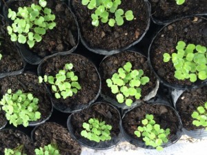 �摜(300x225)�E�g��摜(640x480)