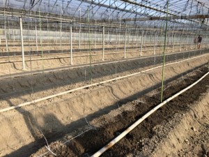 �摜(300x225)�E�g��摜(640x480)