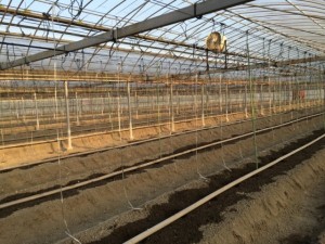 �摜(300x225)�E�g��摜(640x480)