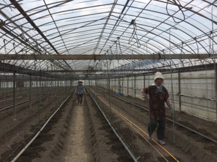 �摜(435x326)�E�g��摜(640x480)